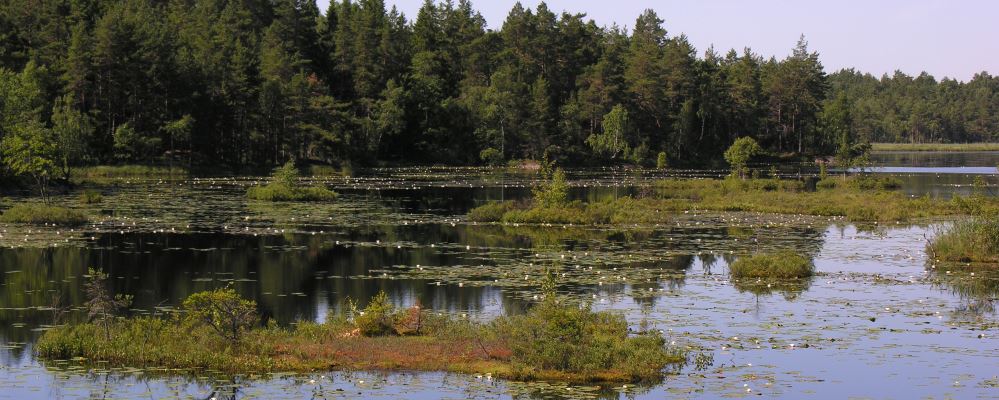 Kvarnsjön i Lissma