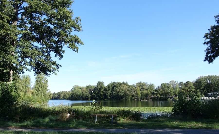 Parkbänk vid Långsjön