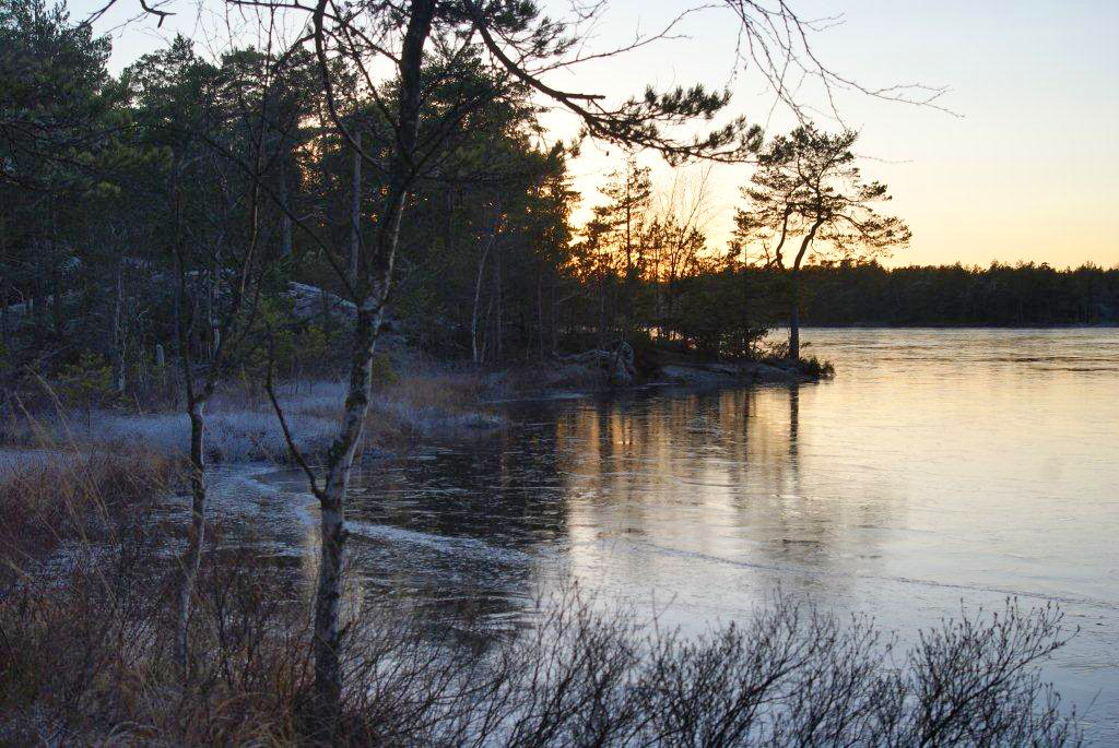 Vinterbild av sjö